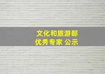 文化和旅游部优秀专家 公示